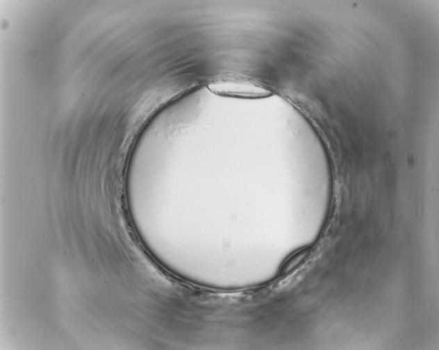 X0000088840049200706281831