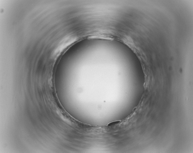 X0000088840050200706281831