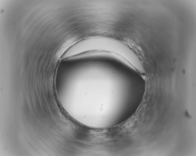 X0000088840051200706281831