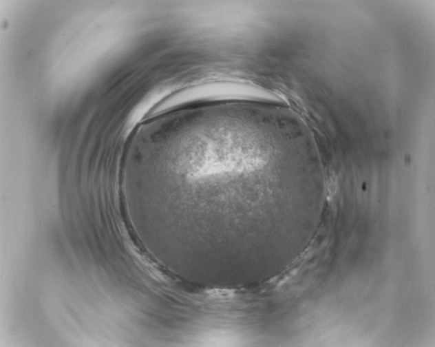 X0000088840052200706281831