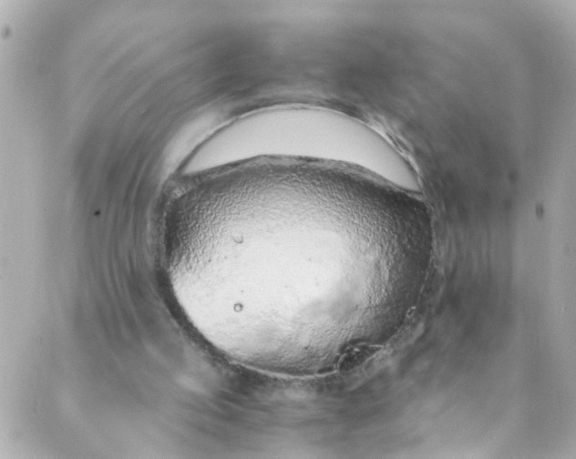 X0000088840053200706281831