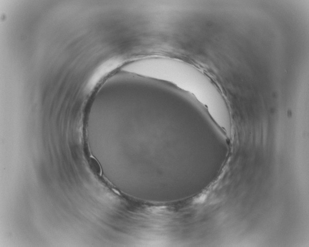 X0000088840054200706281832