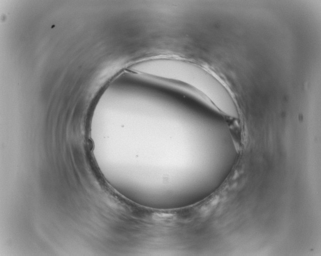 X0000088840055200706281832