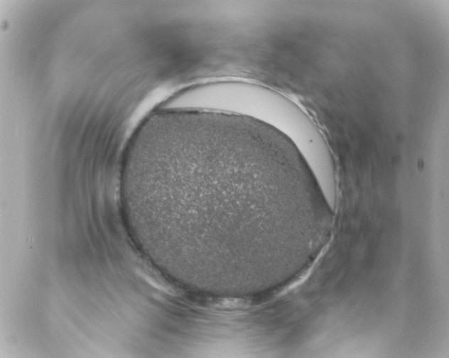 X0000088840056200706281832