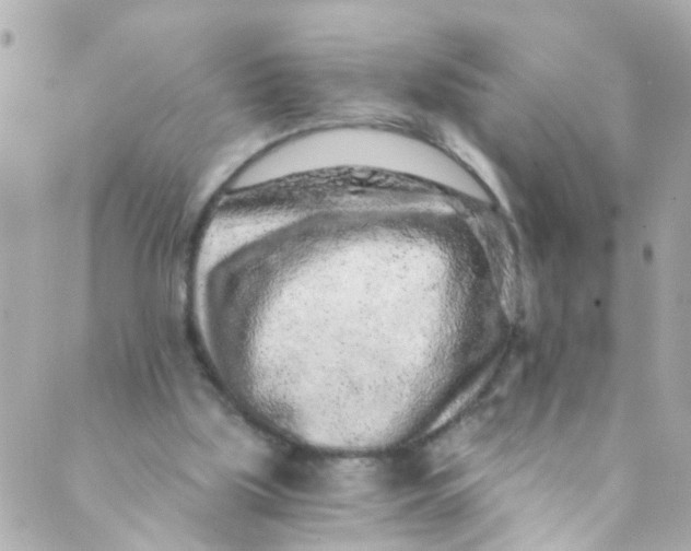 X0000088840059200706281832