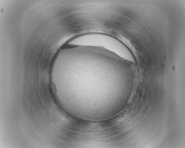 X0000088840060200706281832