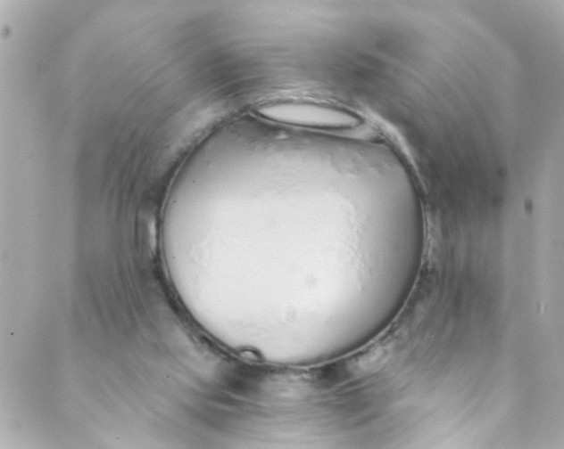 X0000088840061200706281832