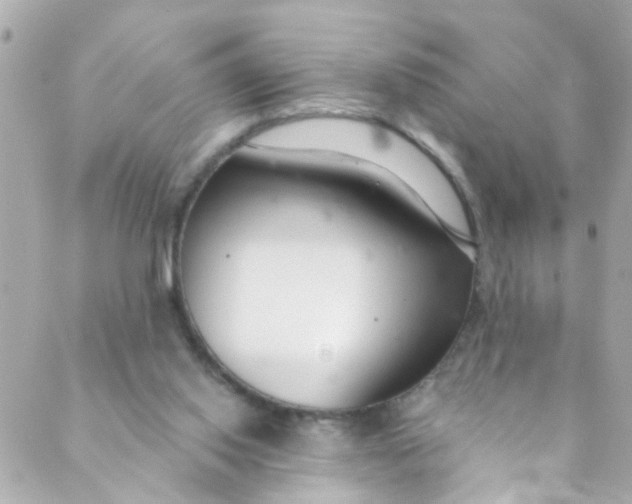 X0000088840062200706281832