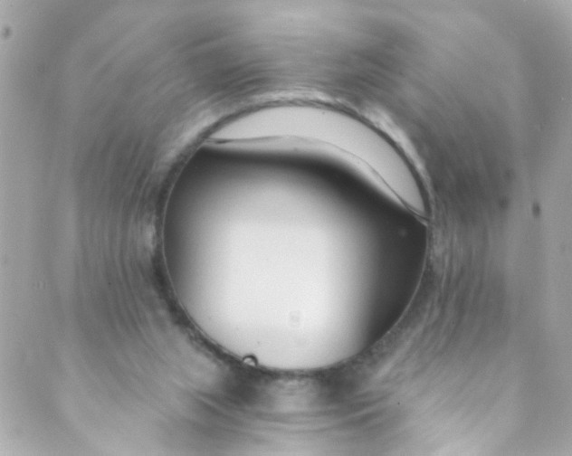 X0000088840063200706281832