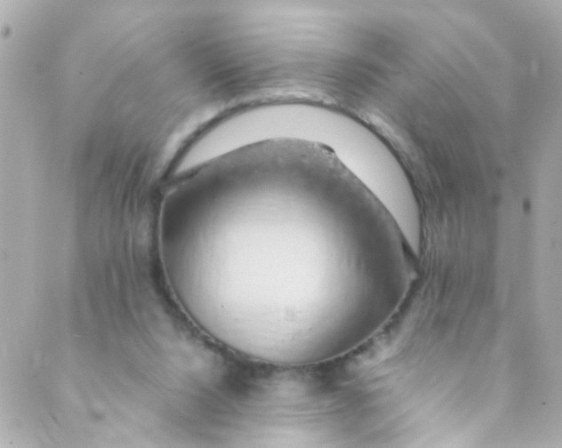 X0000088840064200706281832