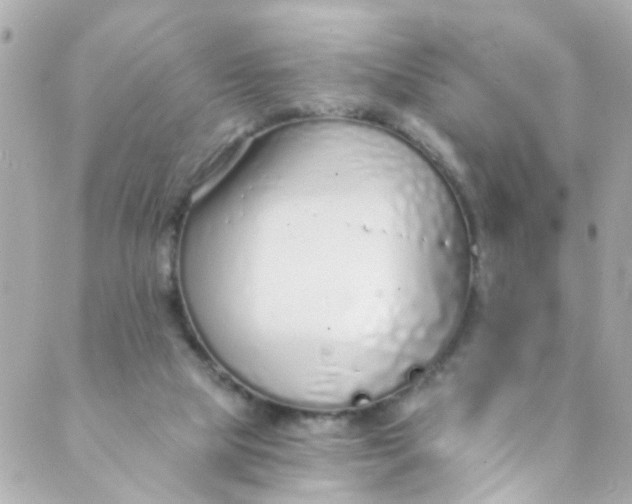 X0000088840065200706281832