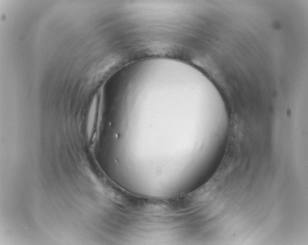 X0000088840066200706281832