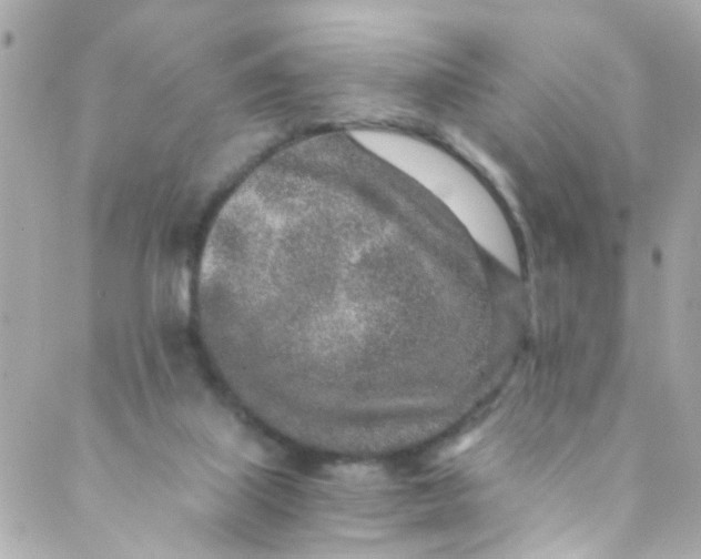 X0000088840067200706281832