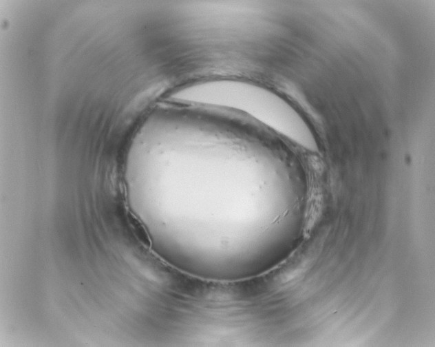 X0000088840068200706281832