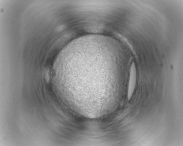 X0000088840069200706281832