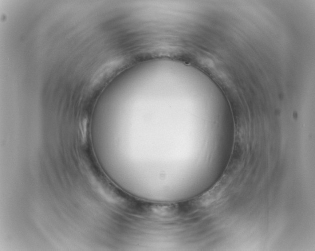 X0000088840070200706281832