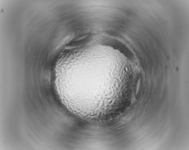 X0000088840072200706281832