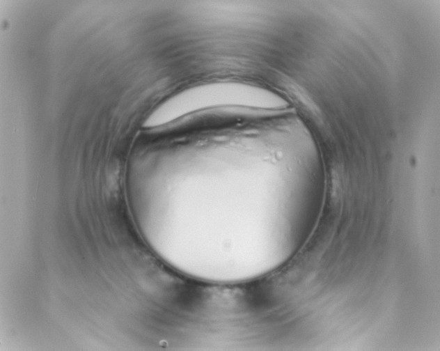 X0000088840073200706281832