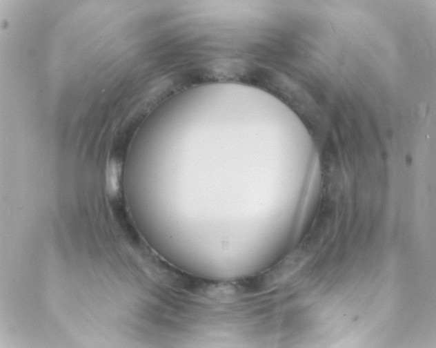 X0000088840075200706281832