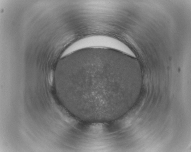 X0000088840076200706281832