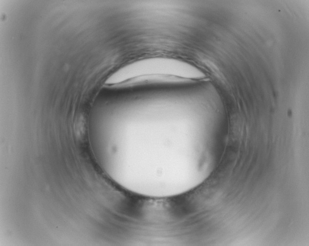 X0000088840077200706281832