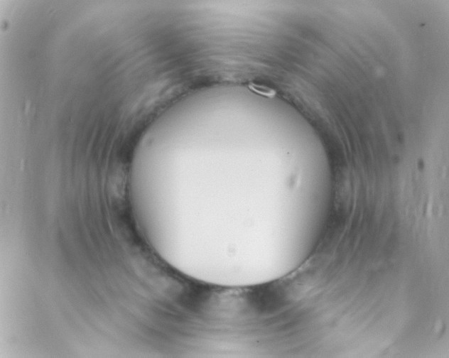 X0000088840078200706281832