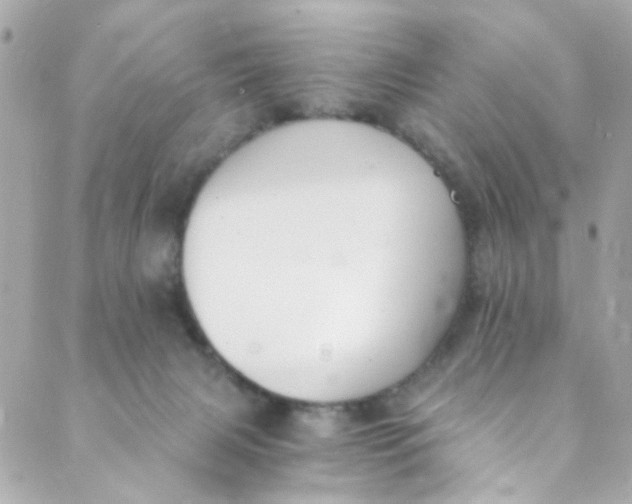 X0000088840079200706281832