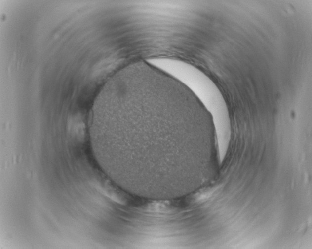 X0000088840080200706281832