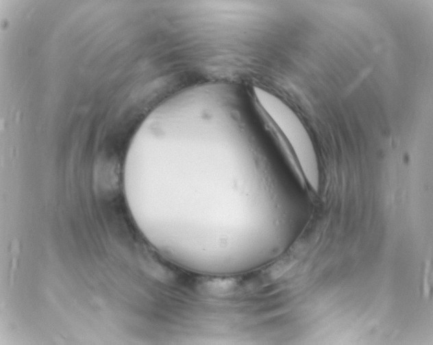 X0000088840081200706281832