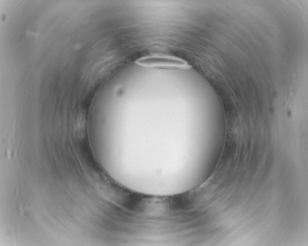 X0000088840082200706281832