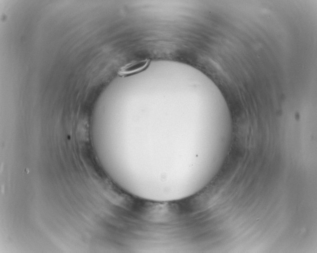 X0000088840083200706281832