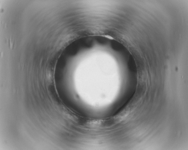 X0000088840084200706281832