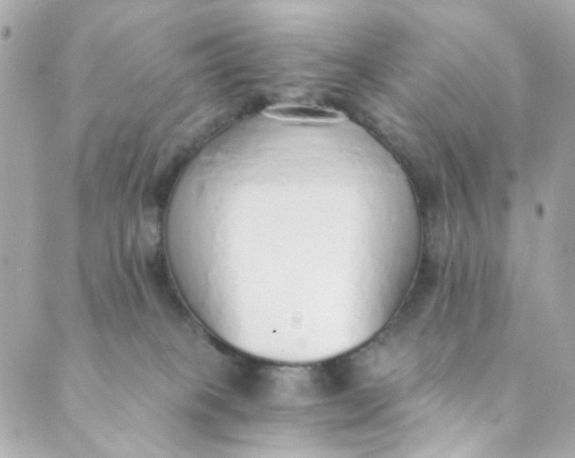 X0000088840085200706281832