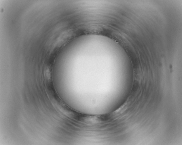 X0000088840086200706281832