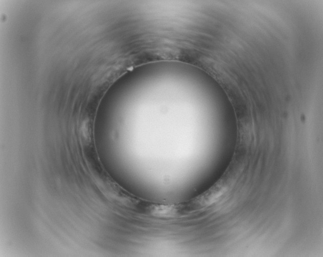 X0000088840088200706281832