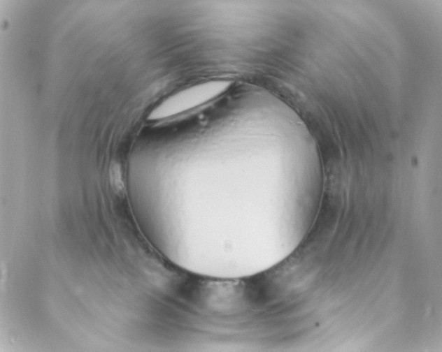 X0000088840089200706281832