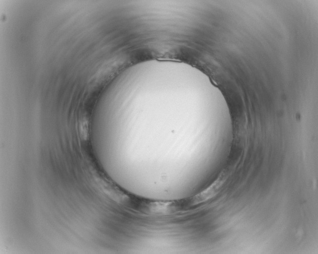 X0000088840090200706281832