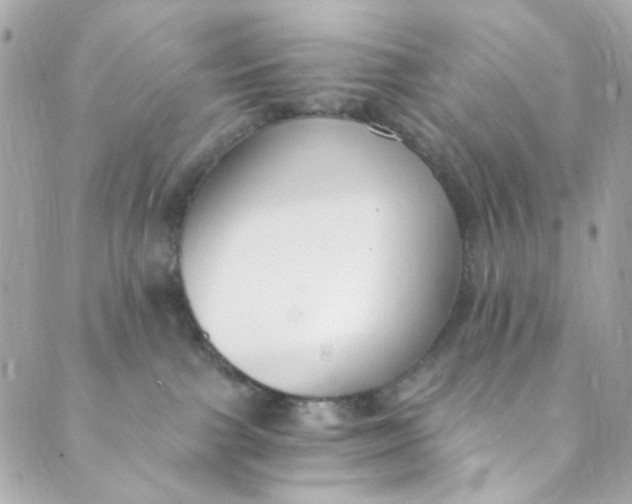 X0000088840091200706281832