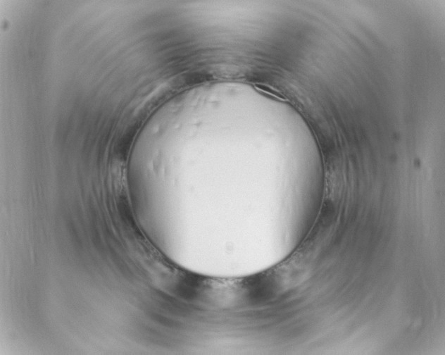 X0000088840093200706281832