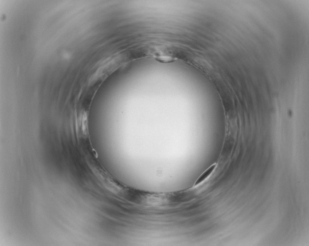 X0000088840094200706281832