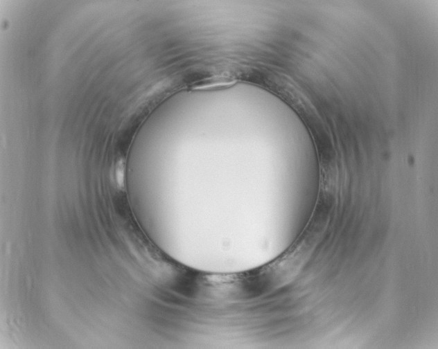 X0000088840095200706281832