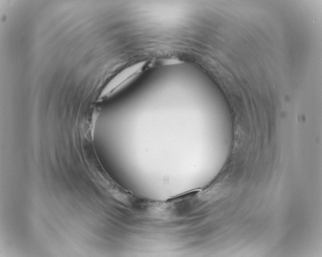 X0000088840096200706281832