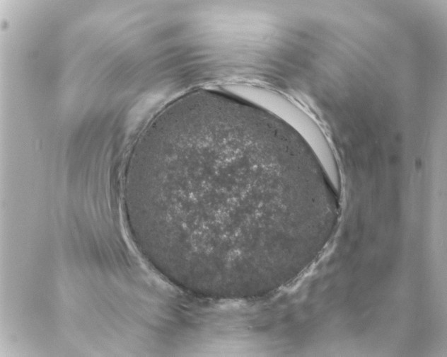 X0000088840097200706281831