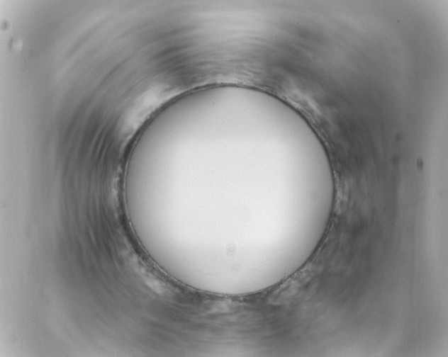 X0000088840098200706281831