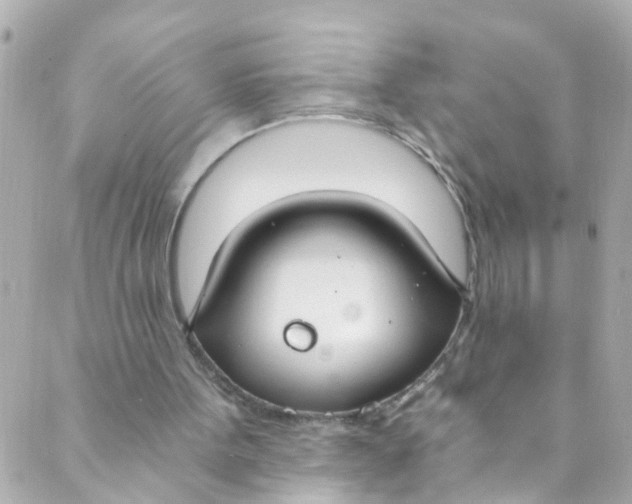 X0000088840099200706281831