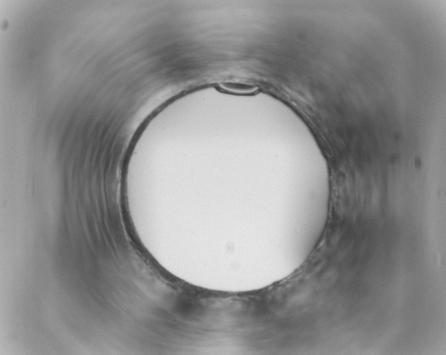 X0000088840100200706281831