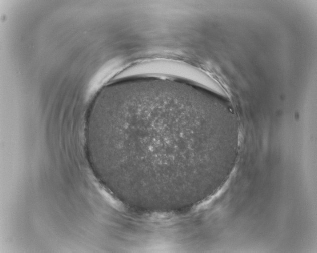 X0000088840101200706281831