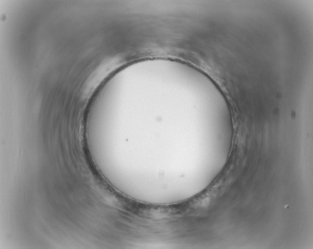 X0000088840103200706281831