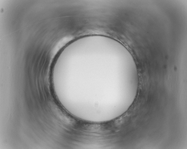 X0000088840104200706281831