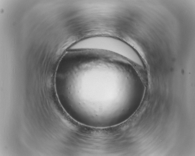 X0000088840105200706281831